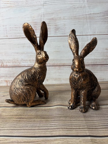 Set bronze effect - bronze, hare