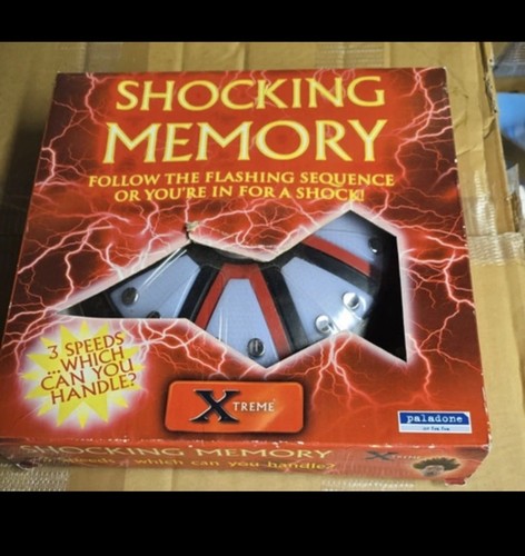 Shocking memory paladone - memory-paladone, funny