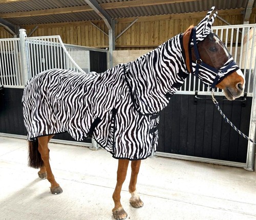 Zebra print fly - print, mesh