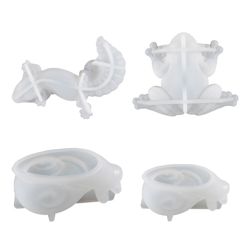 For frog lizard snail - snail, animal