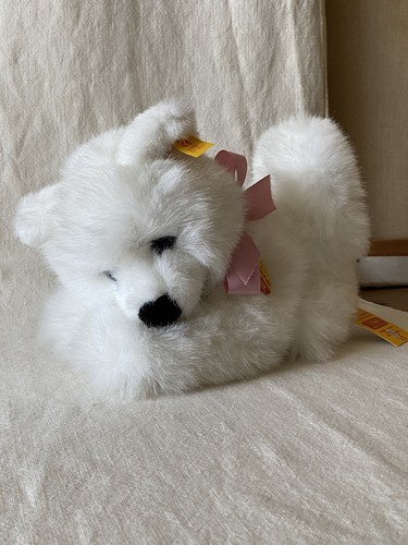 Steiff kuschel dog - with, all