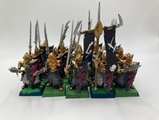 20 Dark Elves Spearmen /