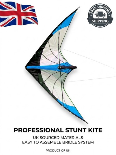 Yongjian large delta kite - large,