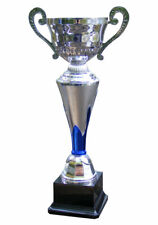 Large Silver Handled Cup