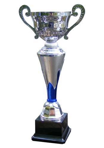 Large silver handled cup - large,