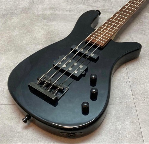 Warwick rock bass - rock, streamer