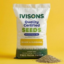 Shady Area Grass Seed | SHADED