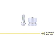 Fuel Pump Delivery Valve for