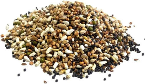 1kg pigeon condition seed - pigeon,