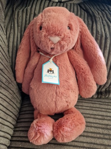 Jellycat bashful bunny sorrel - jellycat,