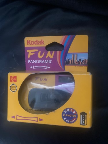 Vintage kodak fun - vintage, panoramic