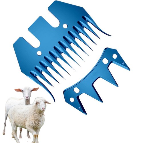 Tooth curly curved - tooth,