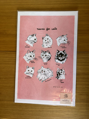 Names for cats stay home - 'names,