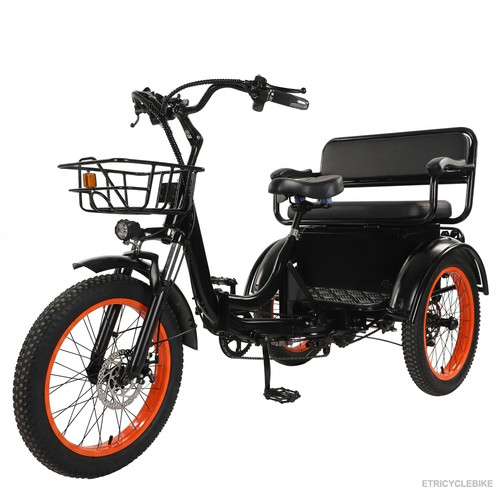 Foldable electric tricycle - electric,