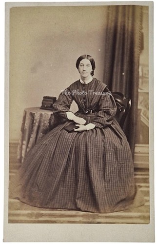 Cdv lady beside stereoscopic - beside,