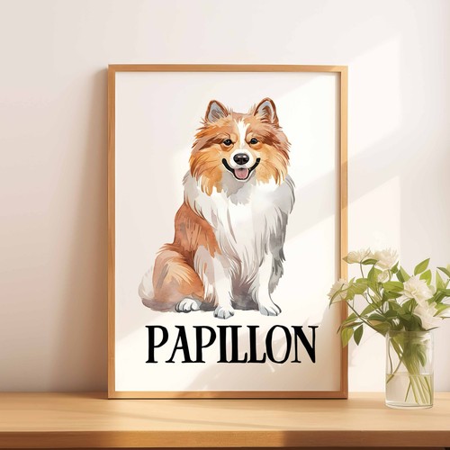 Papillon dog - a4,