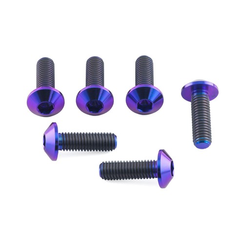 Titanium disc bolts purple - titanium,