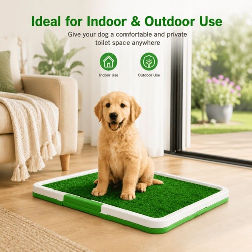 Large pet dog toilet - toilet, puppy