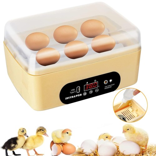 Eggs incubator automatic - incubator, egg