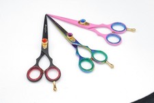 Professional Hair Scissors