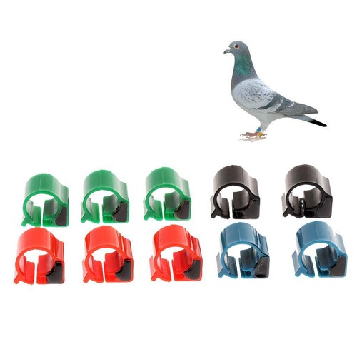 10pack chip tag rfid pigeon - rfid,