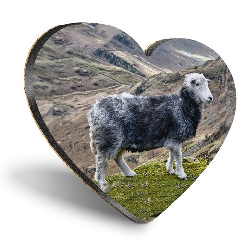 Heart mdf coasters herdwick - coasters,