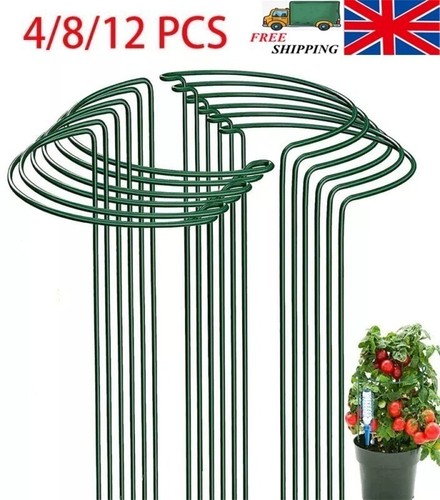 Pack heavy duty - 12-pack, plant