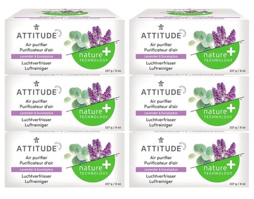 Natural air purifier odour - purifier,