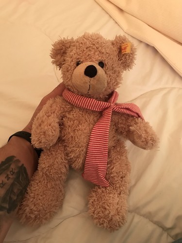 Steiff very old soft toy - a,