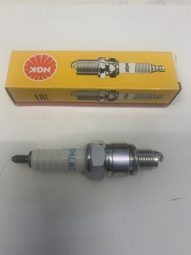 Genuine ngk spark plug - ngk, fit