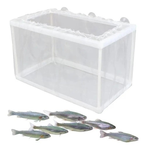 Aquarium fish tank - aquarium, guppy