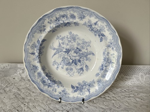 Wedgwood co asiatic - wedgwood,