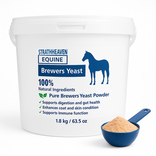 Equine brewers yeast - brewers, powder