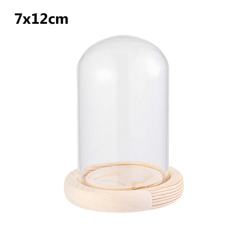 Glass dome display - glass, bell