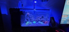 Fluval Sea 52l Just Tank