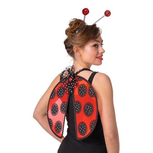 Ladybird accessory set wings - ladybird,