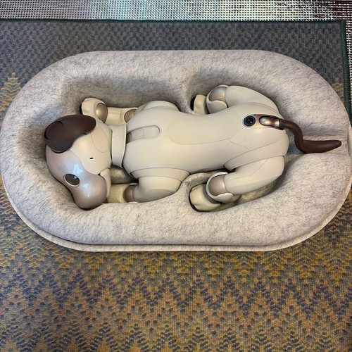 Sony aibo ers - sony, ers-1000