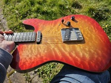 Patrick Eggle Oz T - 5000 year old bog oak neck and fretboard!