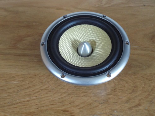Tdl nucleus kv1 low - 6",