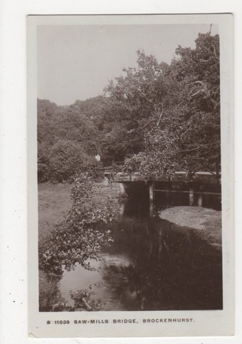 Saw mills bridge brockenhurst - saw,
