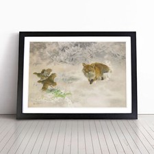 Fox Hunting Black Grouse By