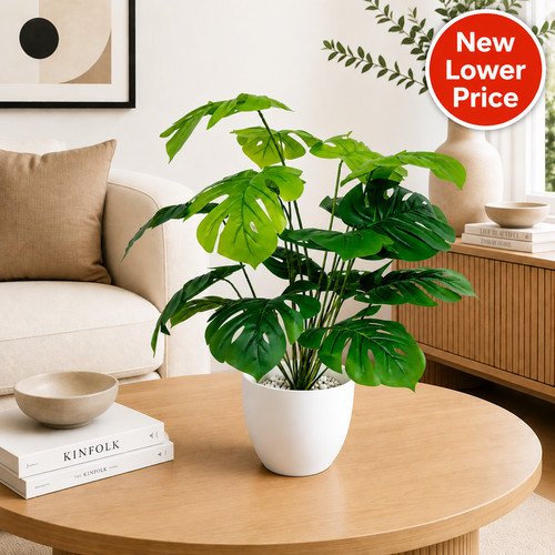 Artificial plant swiss - plant,