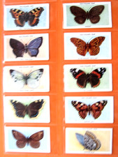 BRITISH BUTTERFLIES -