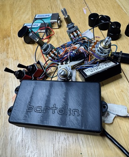 Bartolini style pickup - style, dual