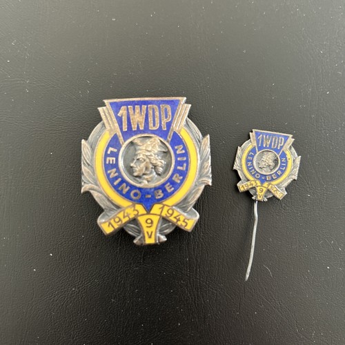 Polish badge 1wdp - polish, "1wdp
