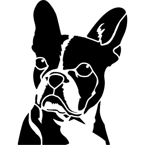 Boston terrier dog - 'boston, stencils