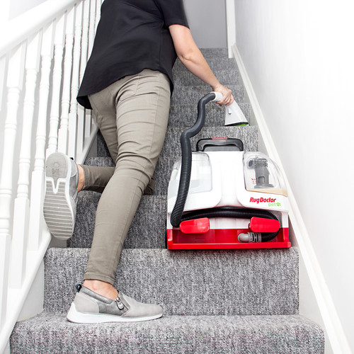 Rug doctor pet portable - rug,