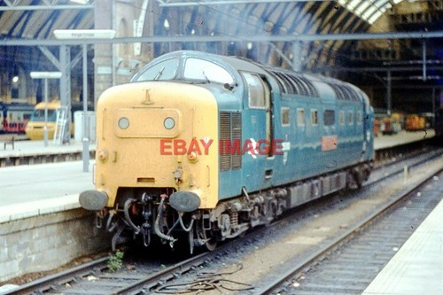 Photo 55 - photo,
