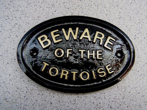 Tortoise plaque sign garden - tortoise,