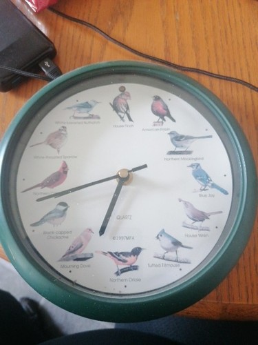 Birdsong wall clock 25cm - wall, green
